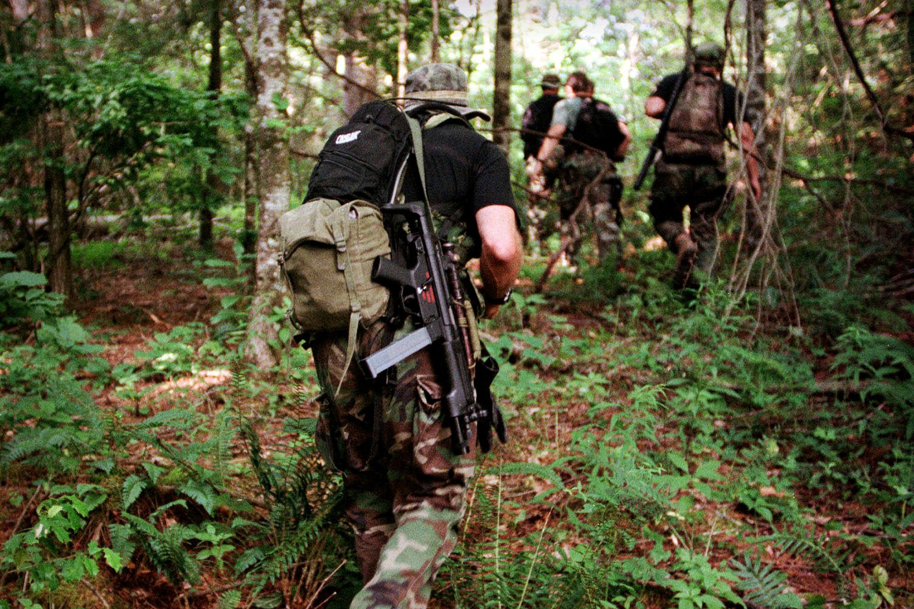 An armed search team enter the forest.