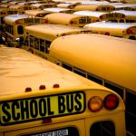 View of school buses in a parking lot.