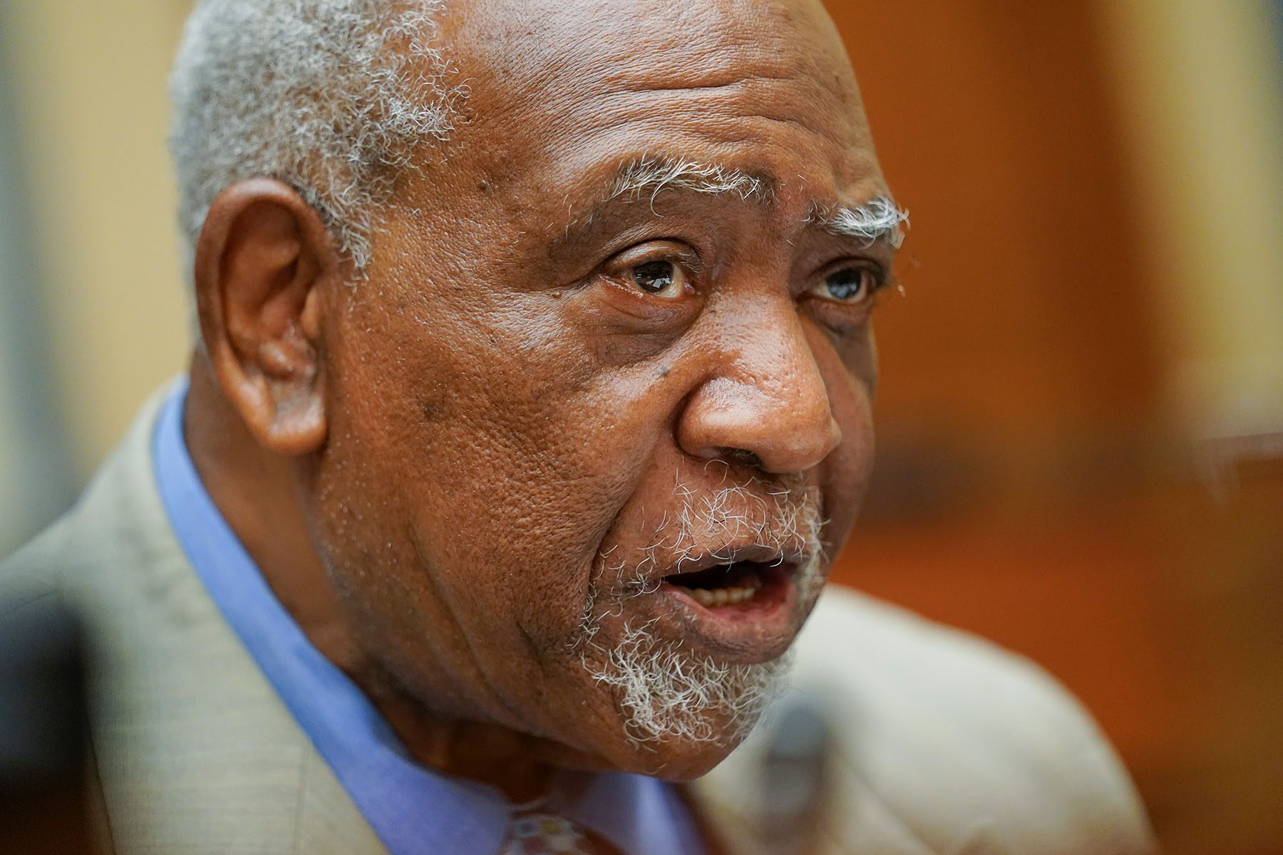 Rep. Danny Davis speaks during a House Committee on Oversight and Reform hearing.
