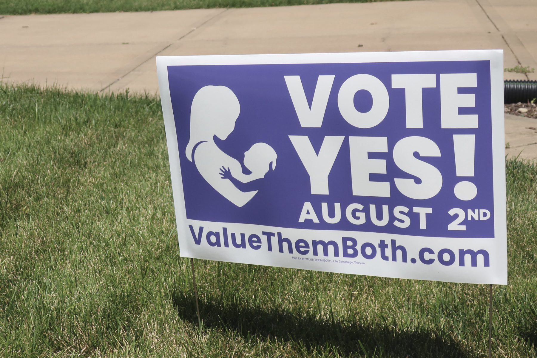 A purple sign reads "Vote Yes August 2, valuethemboth.com."