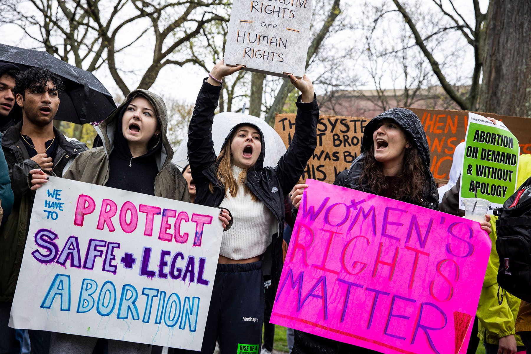 Harvard University freshmen carry signs that read "we have to protect safe + legal abortion," "women's rights matter!" and "reproductive rights are human rights" on the Harvard campus.