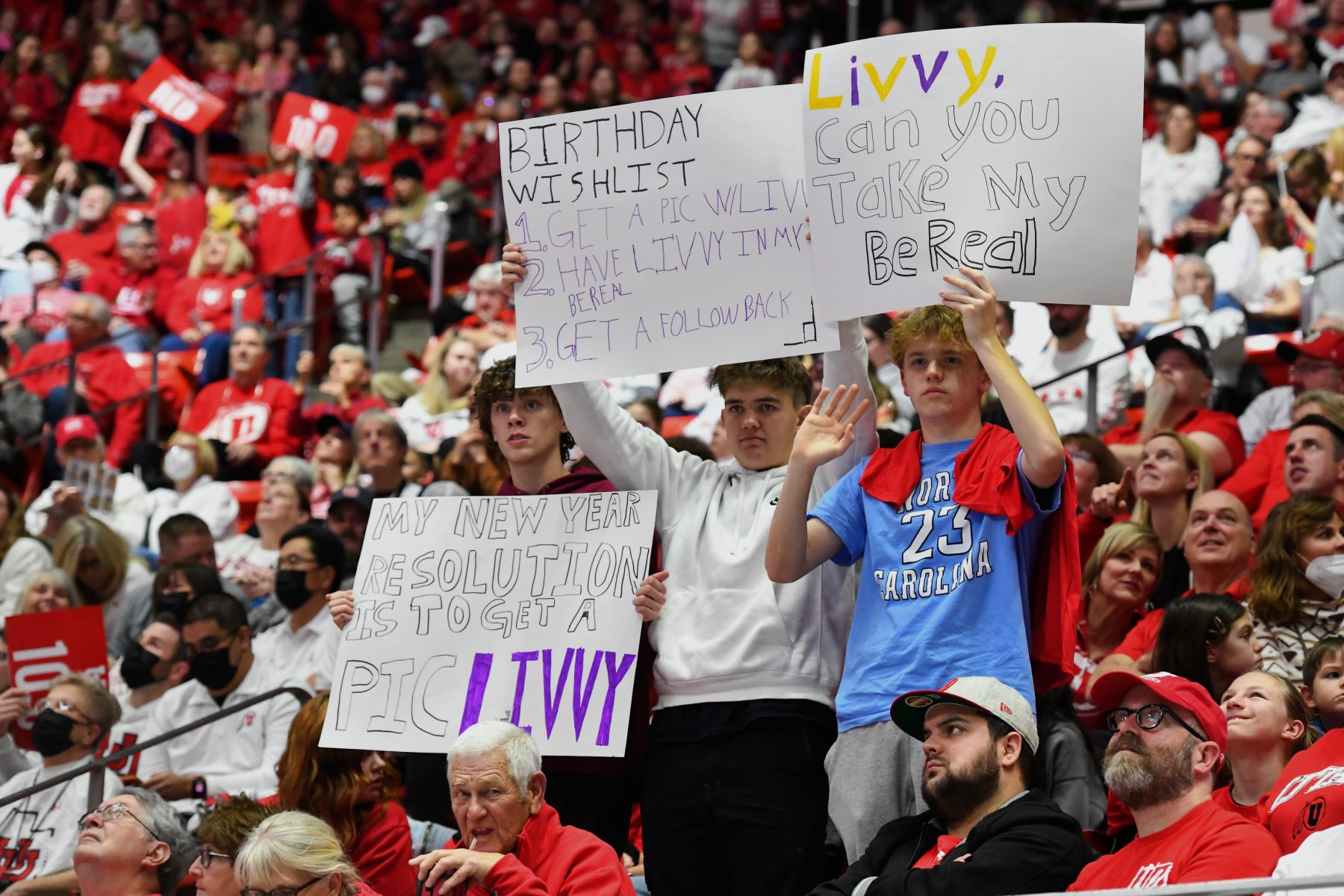 Fans hold signs that read "my new year resolution is to get a pic livvy," "birthday wishlist: 1) get a pic with Livvy 2) have Livvy in my BeReal 3) Get a follow back" and "Livvy, can you take my BeReal"