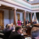 Sen. London Lamar speaks on the Tennessee Senate chamber floor.