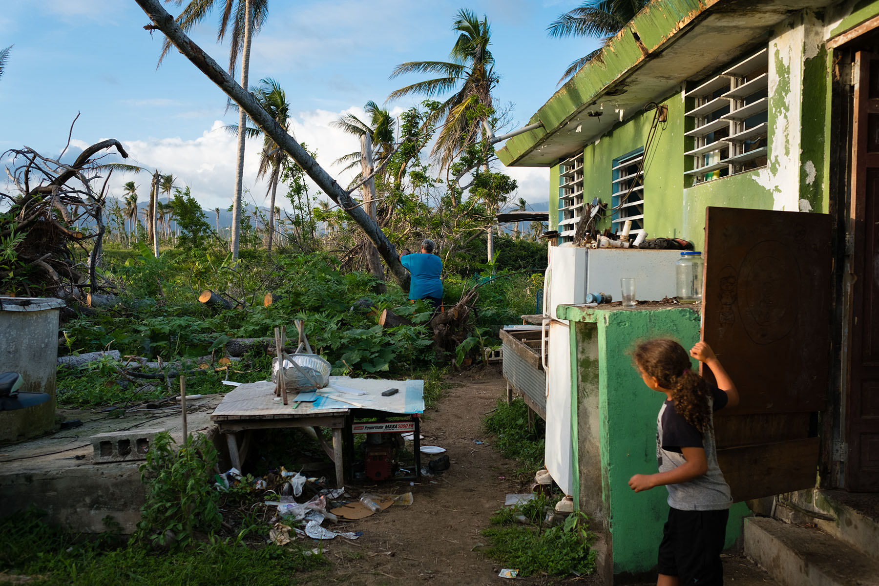 A child watches his father cut a fallen tree in the backyard of their home in the aftermath of Hurricane Maria.