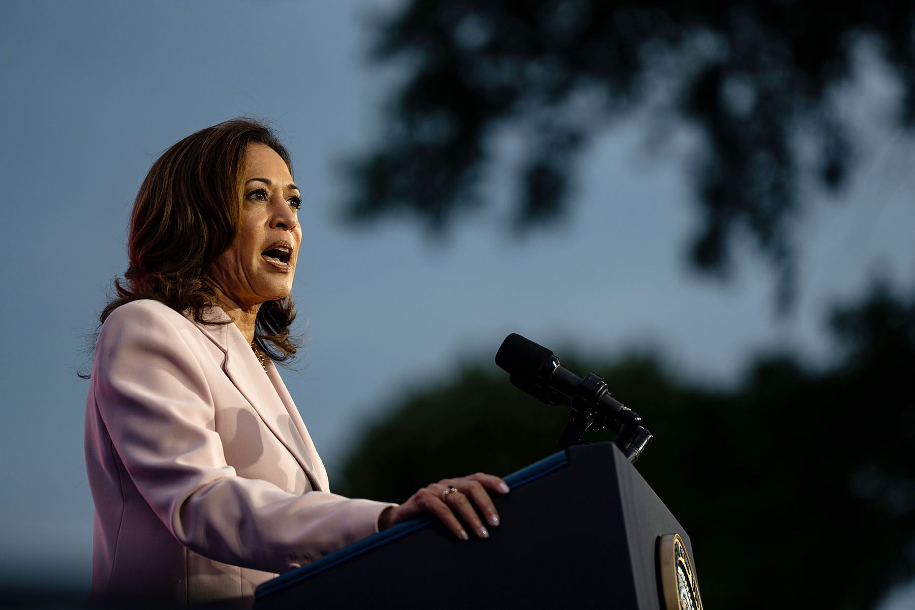 Kamala Harris is seen giving a speech at a podium.