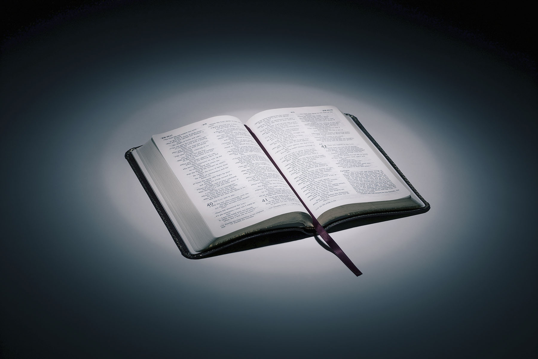 Image of an open bible.