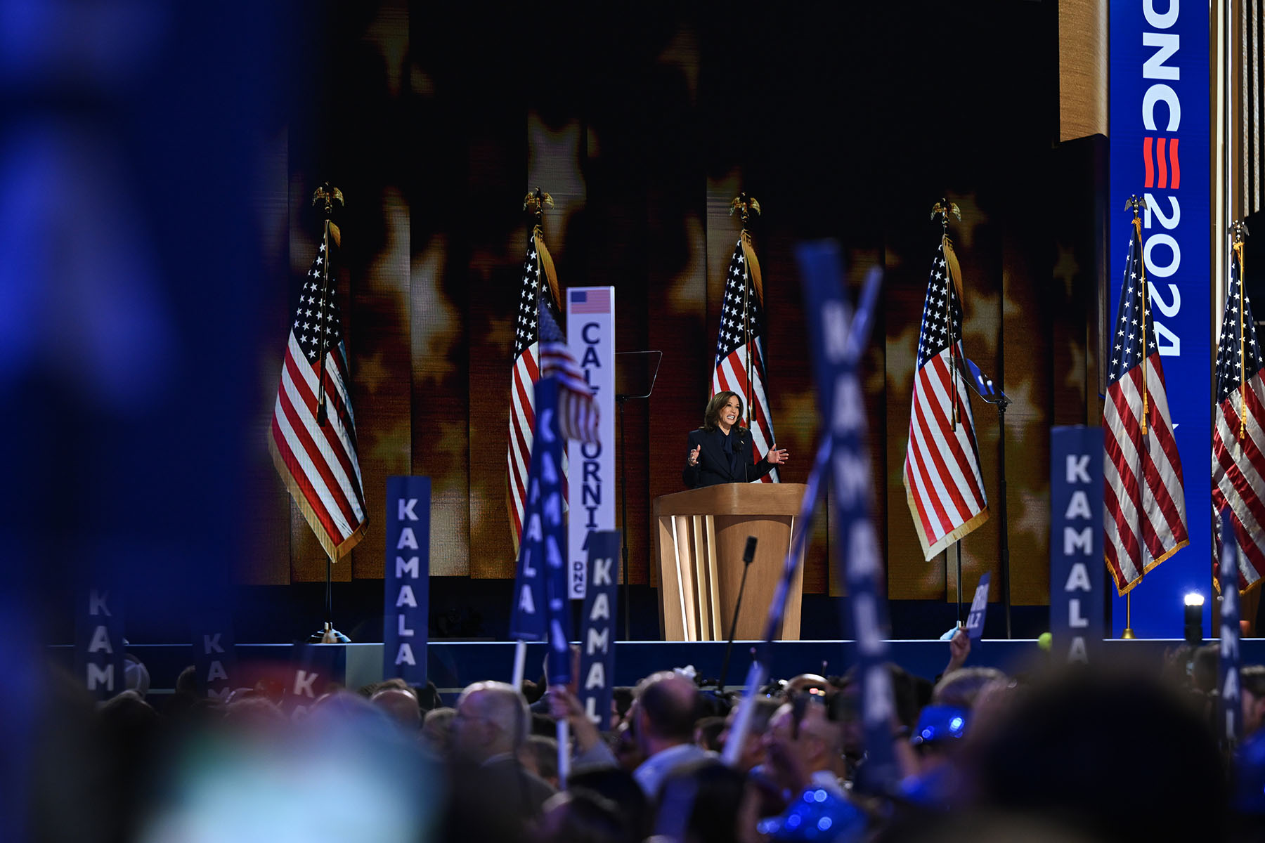 Democratic presidential candidate Vice President Kamala Harris speaks on stage during the final day of the DNC on August 22, 2024, in Chicago, Illinois.