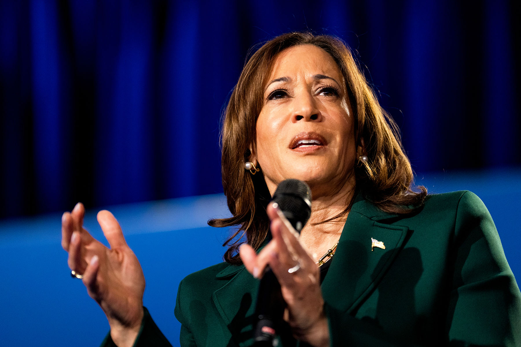 Vice President Harris speaks at a campaign event in Royal Oak, Michigan.