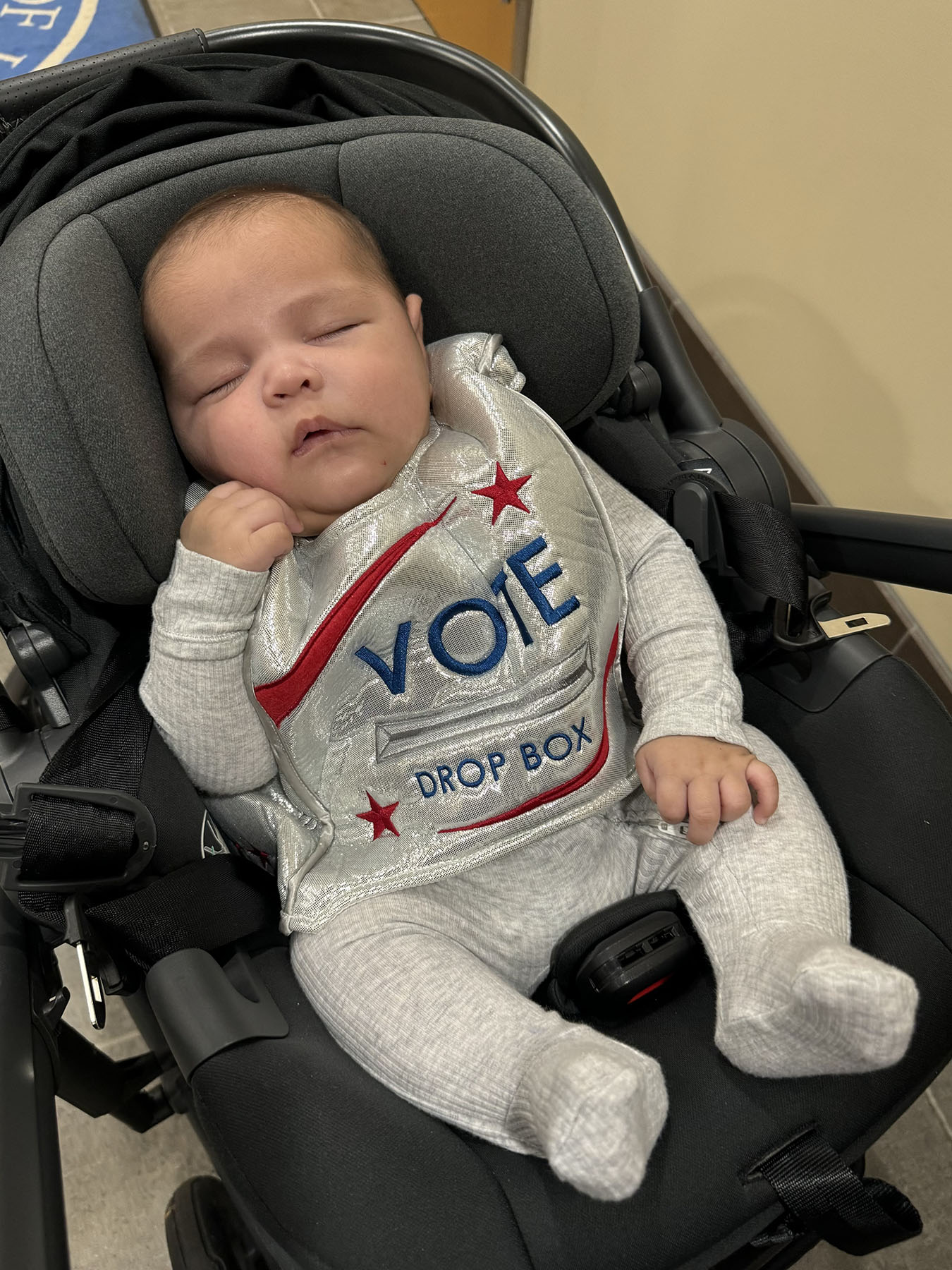 Eleanor Grano'd 2-month-old son, Edward, sleeps in his stroller dressed as a ballot box.