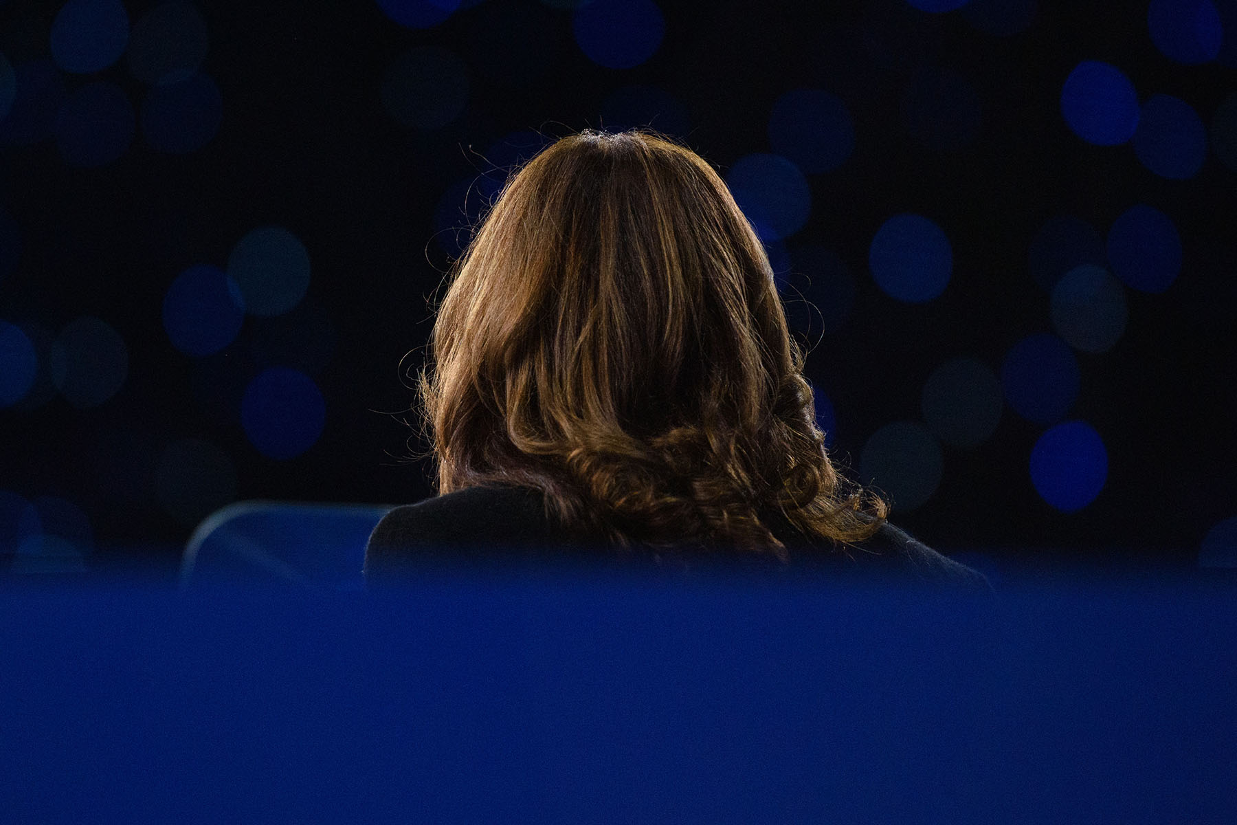 The back of Vice President Kamala Harris's head is seen as she makes remarks at a campaign rally in Greensboro, North Carolina.