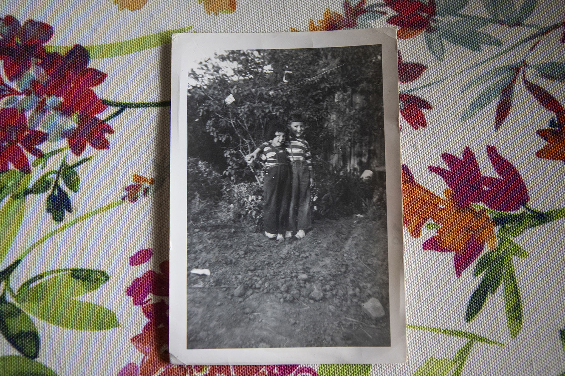 A black and white photograph of two children standing near some bushes, lying on a table.