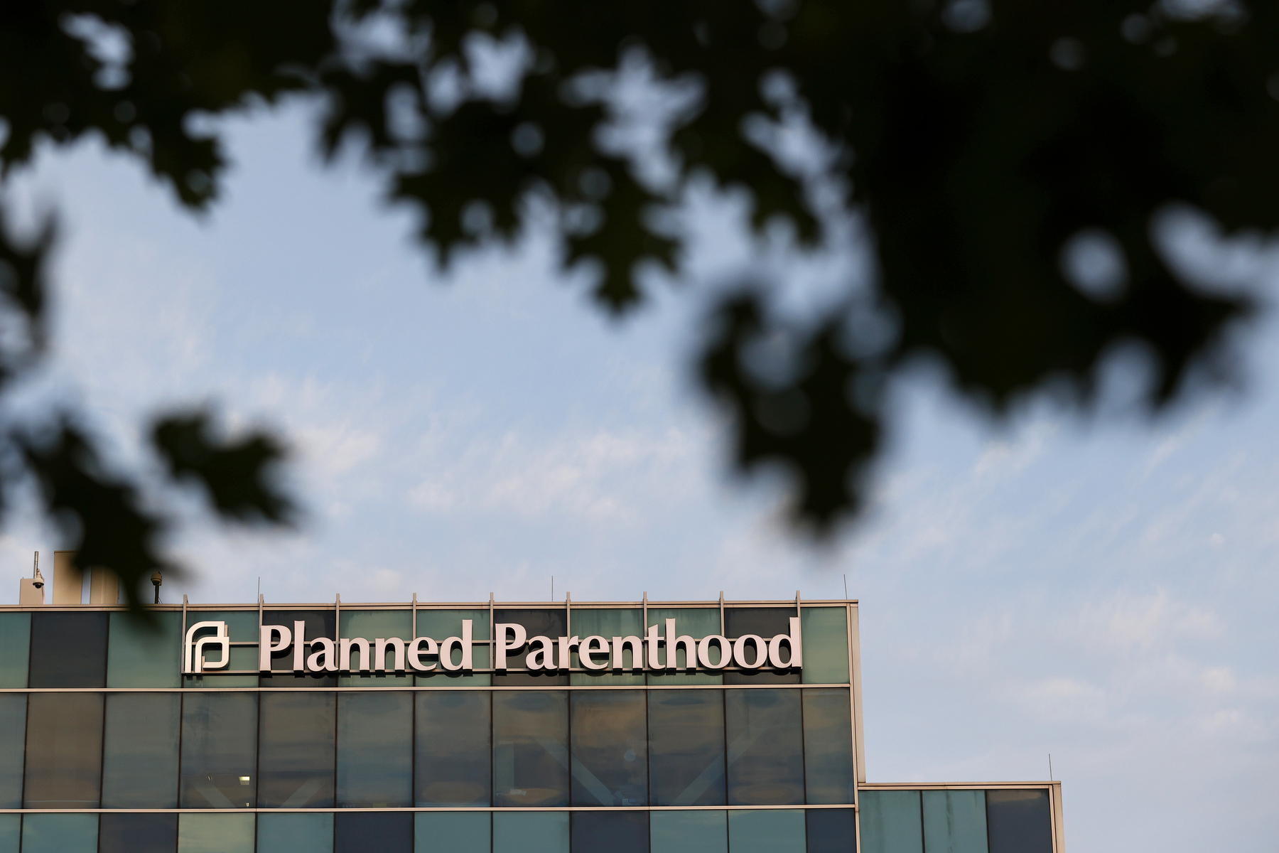 A Planned Parenthood building against a blue sky framed by shadows from tree leaves.