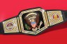 Illustration of A custom wrestling championship belt featuring the Great Seal of the United States in the center, flanked by a presidential portrait of Donald Trump and an image of the White House, with “MAKE AMERICA GREAT AGAIN” engraved at the bottom.