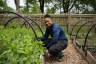 A farmer on her farm.