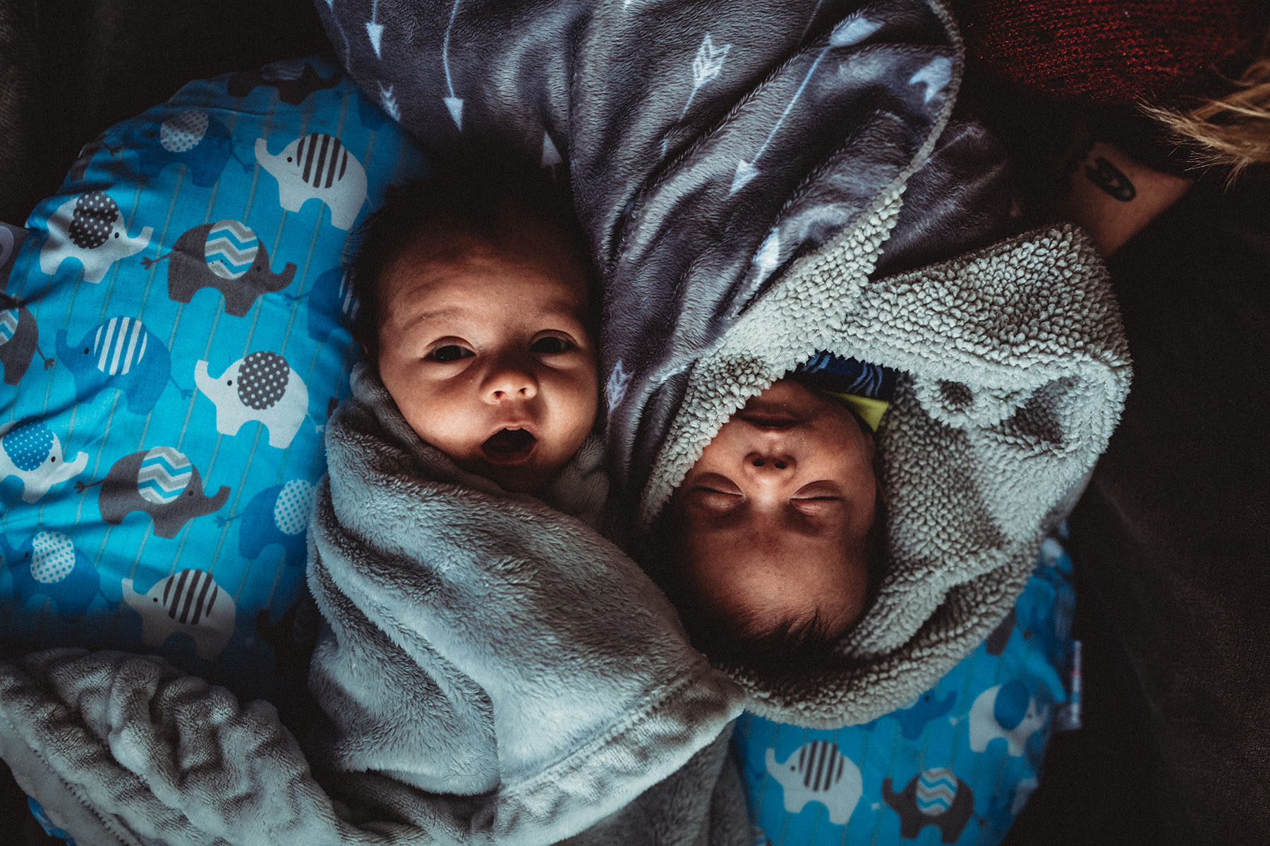two twin baby boys are held at home in window light.