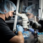 A senior embryologist at West Coast Fertility Centers prepares embryos for genetic testing.