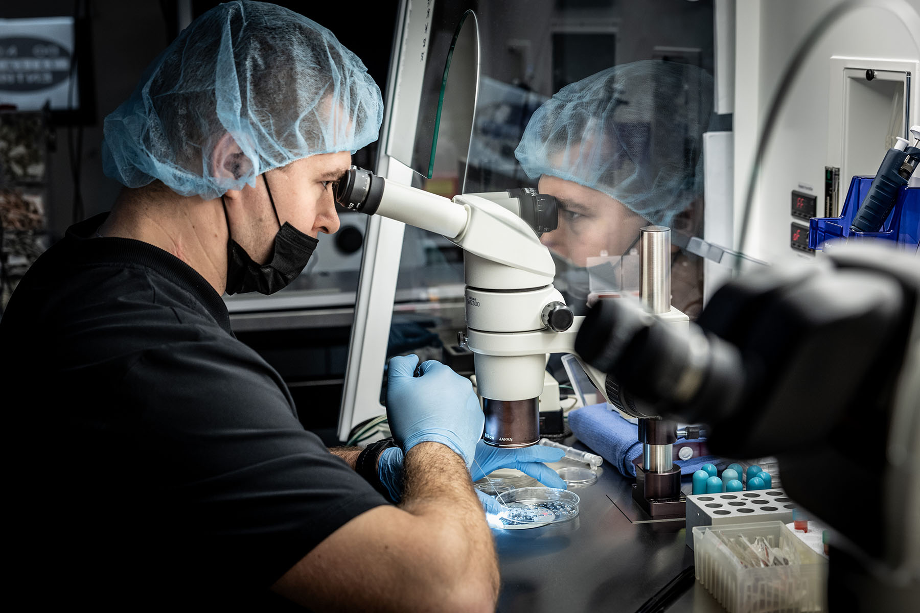 A senior embryologist at West Coast Fertility Centers prepares embryos for genetic testing.