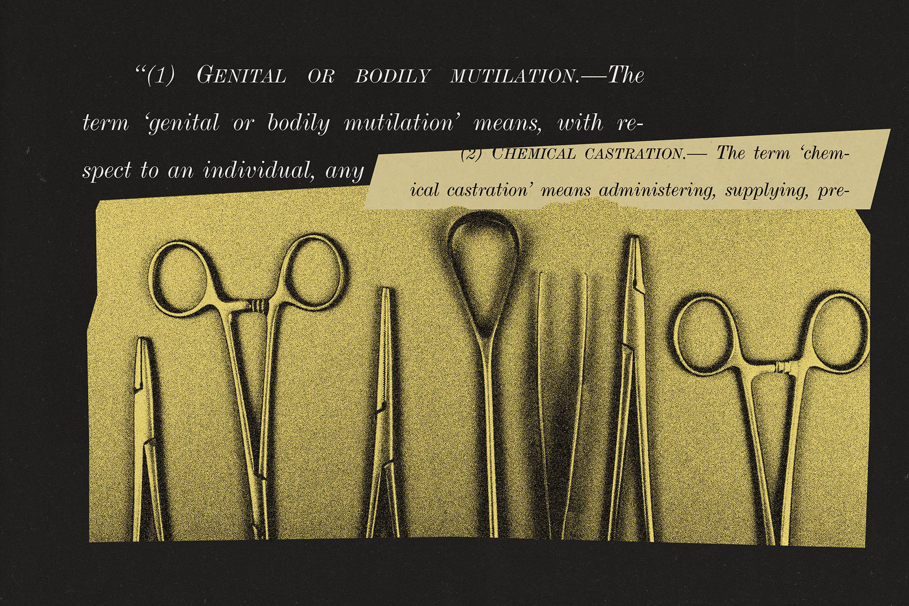 An illustration that shows medical instruments alongside the definition of genital mutilation.