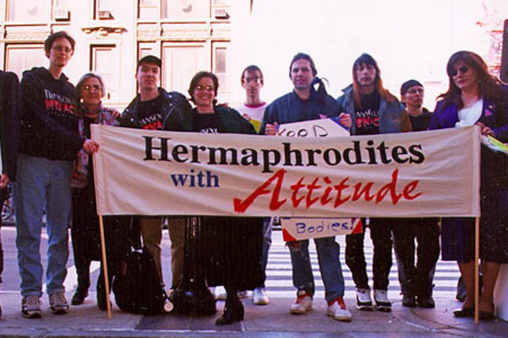 A group of people hold a sign saying "hermaphrodites with attitude".