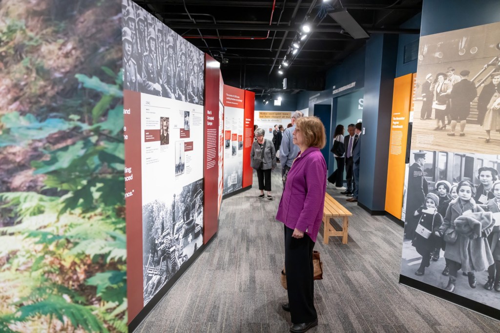 A woman looks at museum exhibit walls.
