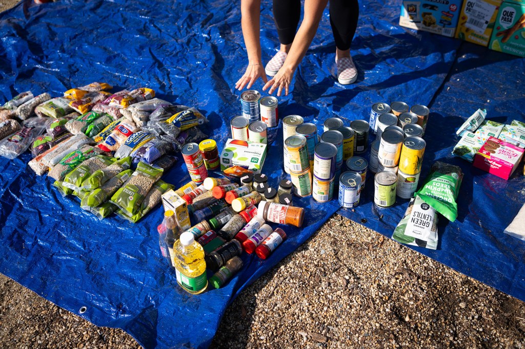 Donated food is seen as Furloughed Federal workers and allies hold a food drive and rally in support of releasing emergency SNAP funds.