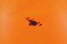 A few dark red drops of blood scattered across a bright orange textile.