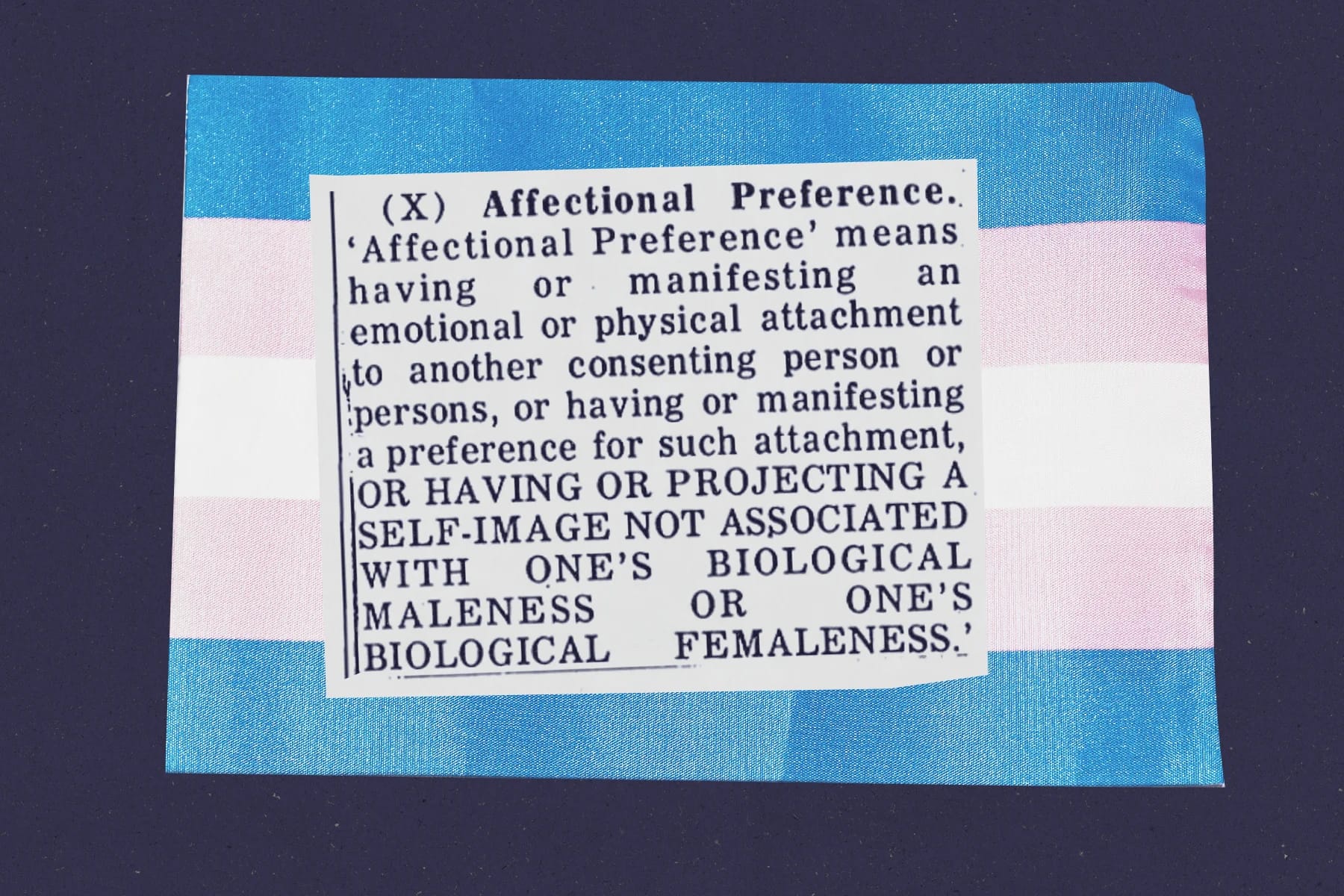 An illustration of language from a city ordinance on top of a trans flag.