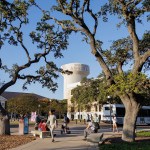 Students wait at a bus stop on the Texas A&M University campus.