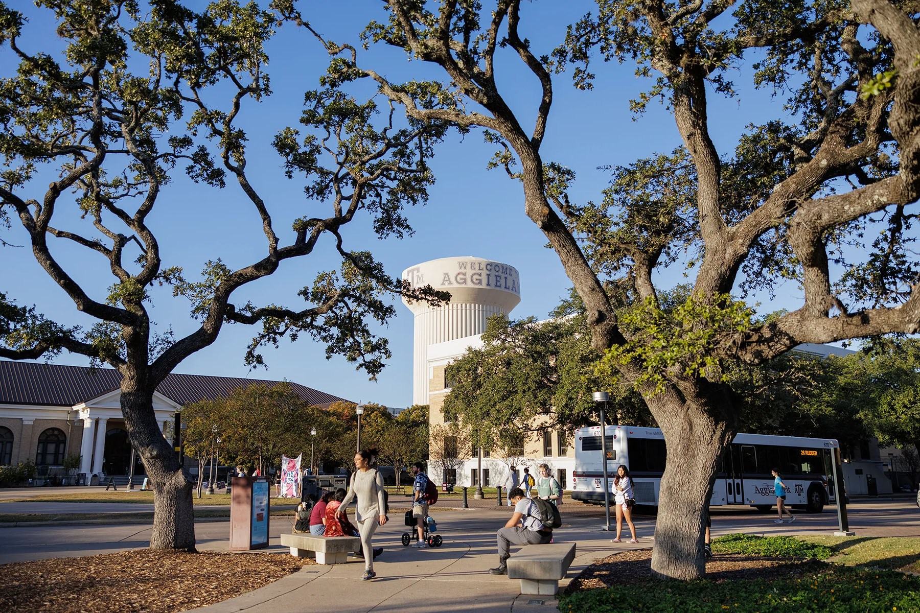 Students wait at a bus stop on the Texas A&M University campus.