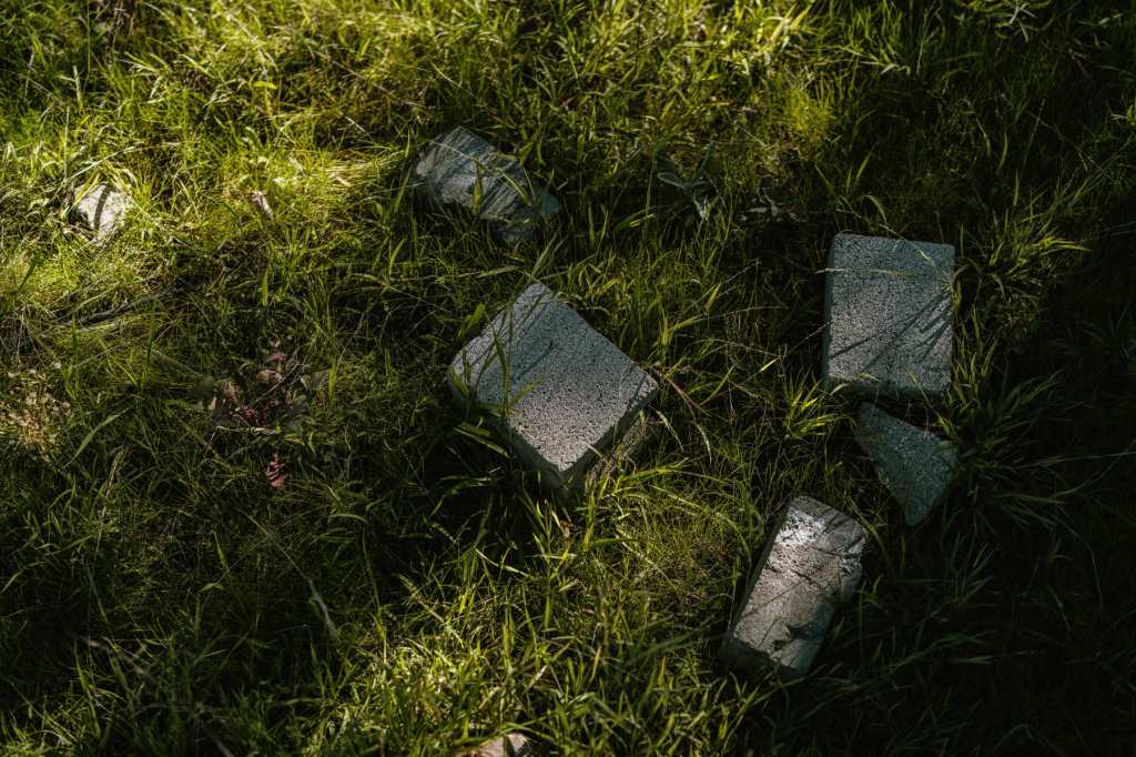 Bricks in the grass