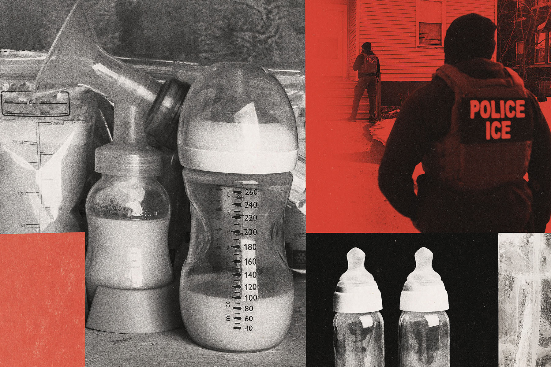 A collage-style image showing breast milk bottles on the left and Immigration and Customs Enforcement officers on the right. On the left, several baby bottles filled with breast milk sit closely together, some with measurement markings visible. On the right, two law enforcement officers wearing jackets labeled “police ICE” stand outside a residential house.