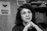 Huerta clasps her hands together in front of signs that say Boycott Grapes.