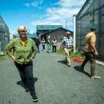 Pingree walks through a farm