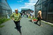 Pingree walks through a farm