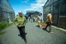 Pingree walks through a farm
