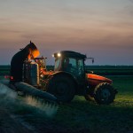 A tractor sprays pesticides crops in a field at sunset.