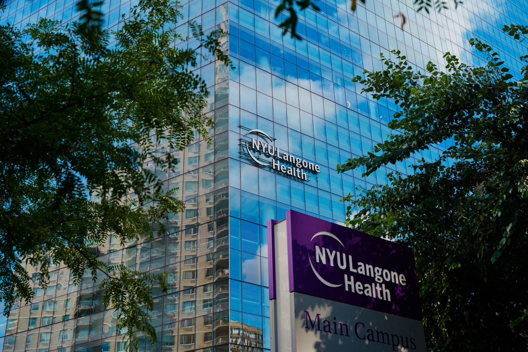 Exterior of NYU Langone Health’s main campus building framed by trees.