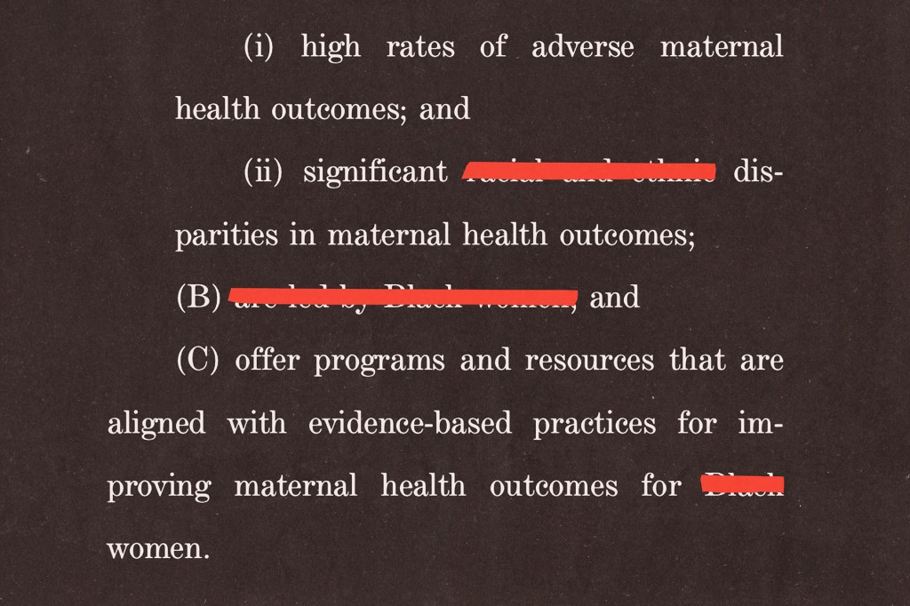 A graphic shows a close crop of legislative text on a dark background. Red bars obscure several words in lines about maternal health disparities and programs intended to improve maternal health outcomes for Black women.