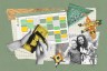 An illustrative collage depicts a calendar, camp crafts, a mother and child and money.