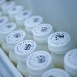 Bottles of breast milk sit in two rows.
