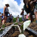 People planting things in the field.
