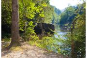 Wilson Creek in North Carolina seen from a forest trail lined with trees.