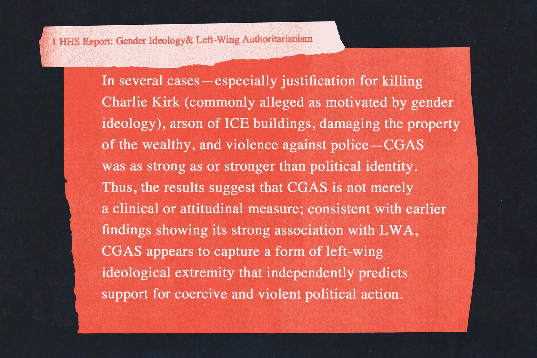 An illustrative image depicting words from a federal report on gender ideology and left-wing authoratarianism.