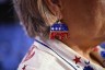 Close-up of a woman's red, white and blue glittery elephant earring, symbolizing the Republican Party, and a white shirt decorated with patriotic stars and blue trim.
